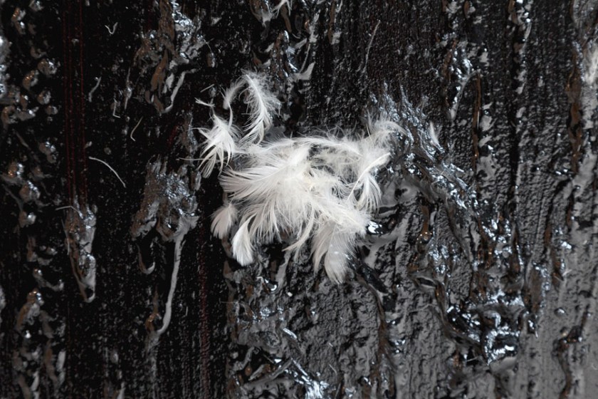 80dbecfb07459302fd81c80ebdff74ff