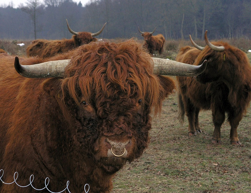 7eef8a7db7d735cac435e1598471c163